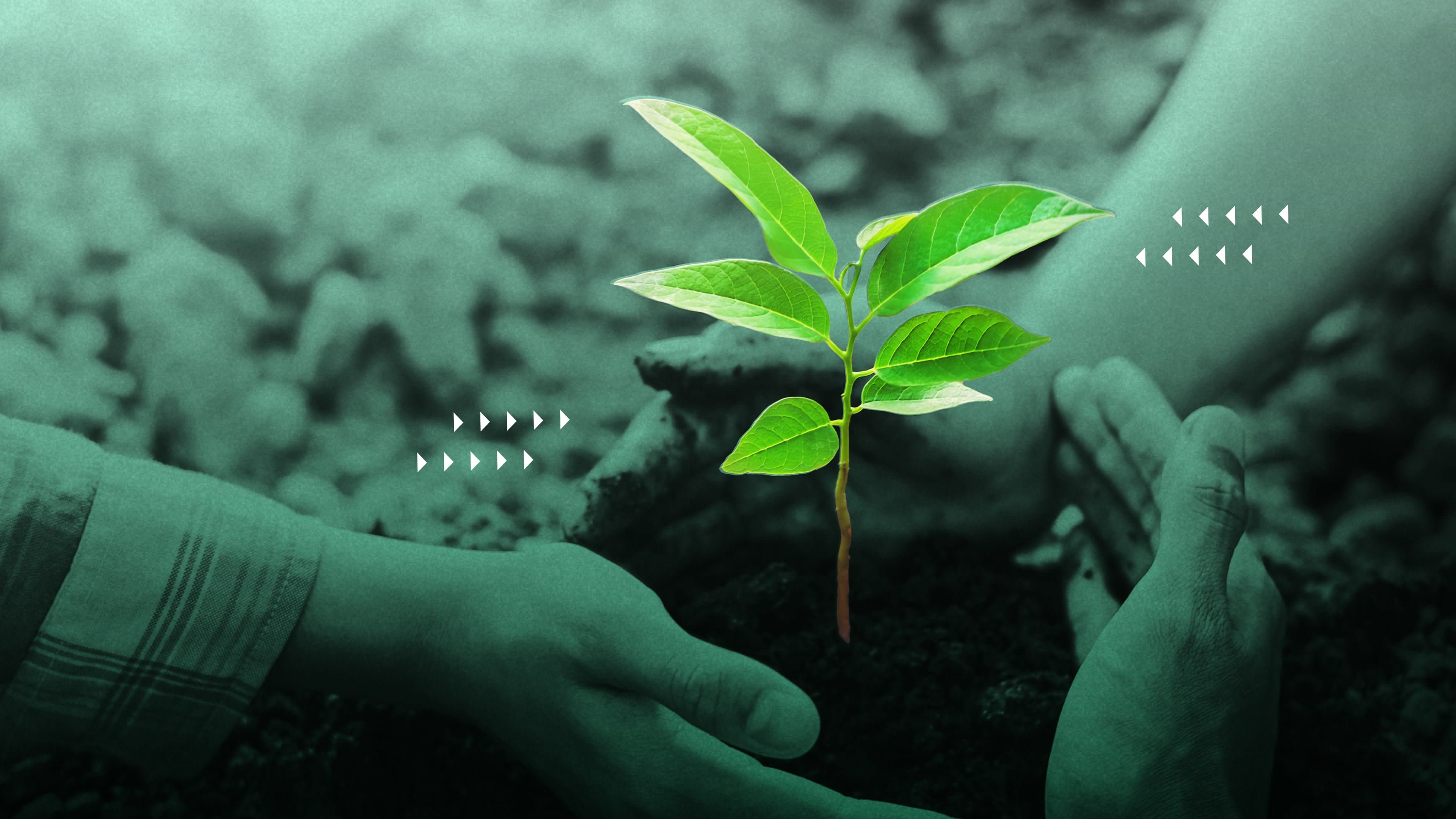 The ROI of giving back: Measuring the tangible benefits of corporate social responsibility