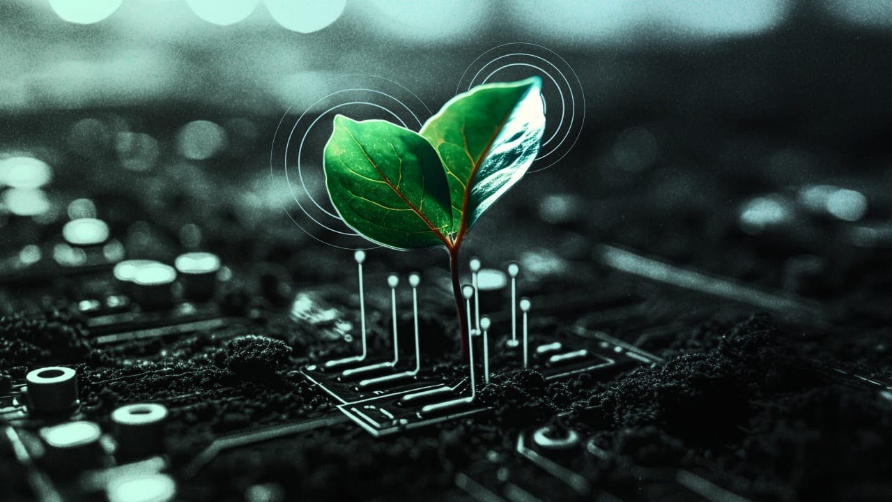 Here’s how to make sustainability core to your IT ethos