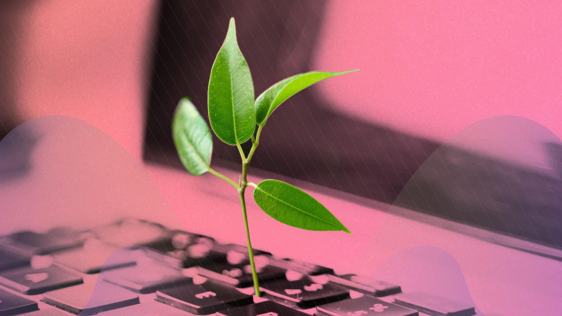 To accelerate net-zero, commit early but decide late