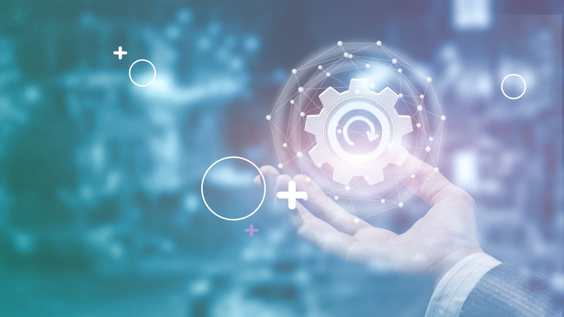 Renewal and reinvention: Ingredients for lasting success