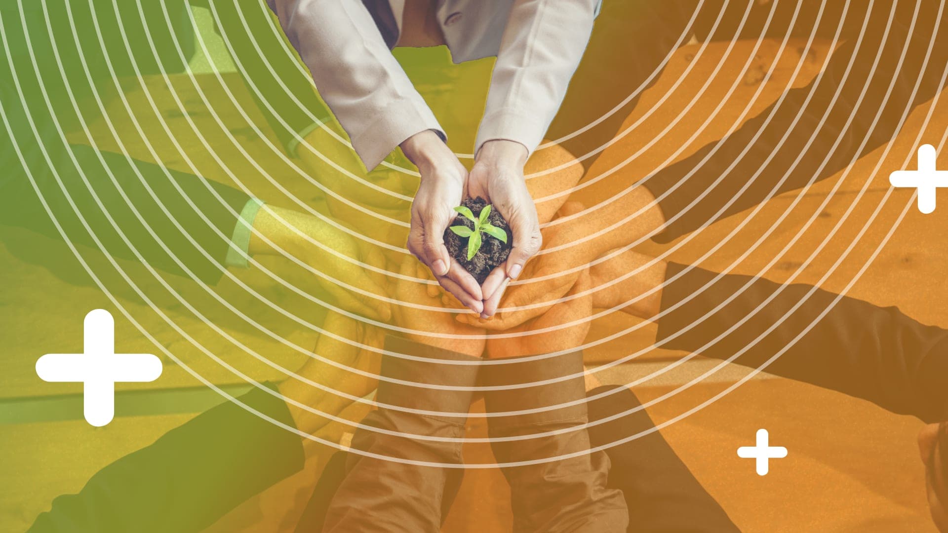 Why sustainability needs to be part of a CIO's strategy