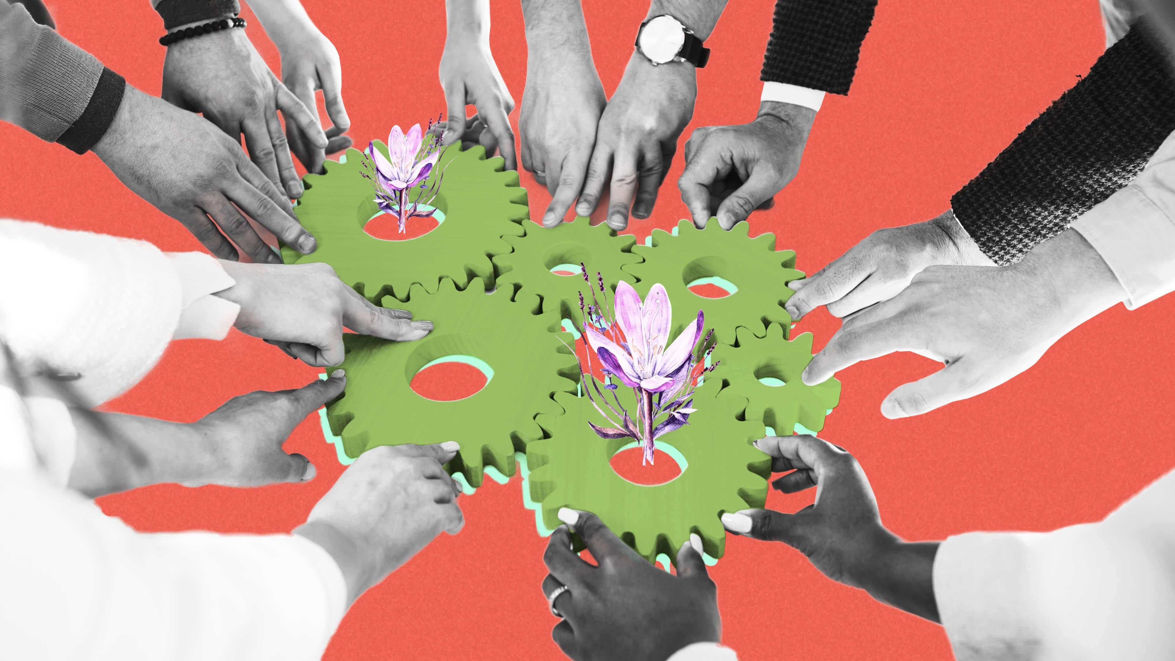 The lily pad effect: How to develop deep roots to protect your sales team from any storm