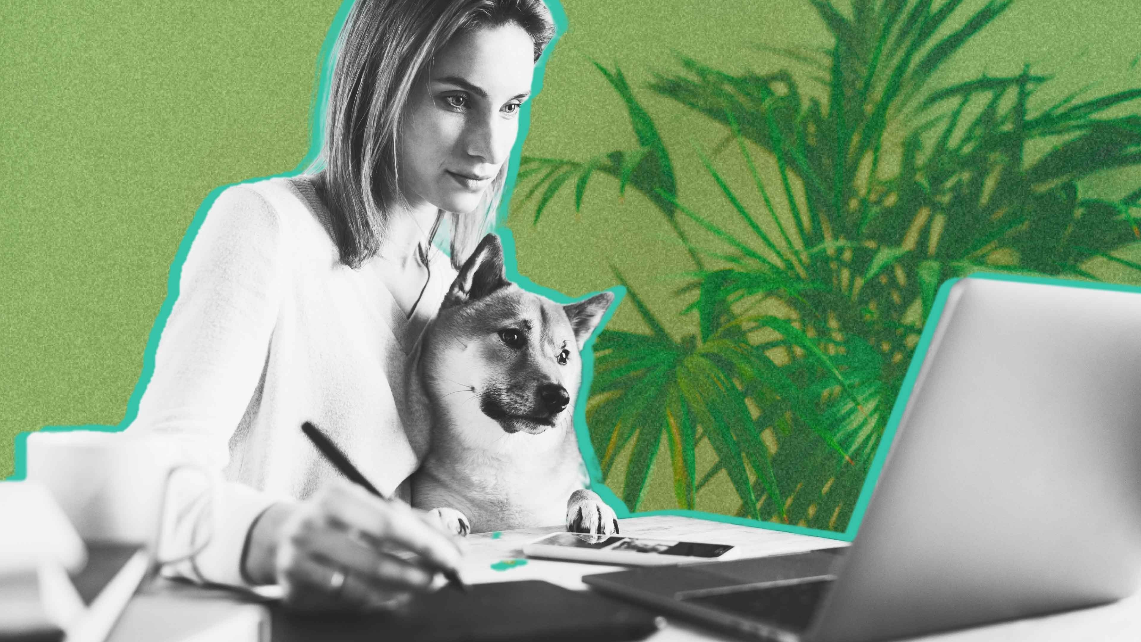 Working from wherever, whenever, forever: Three predictions based on my company's experience