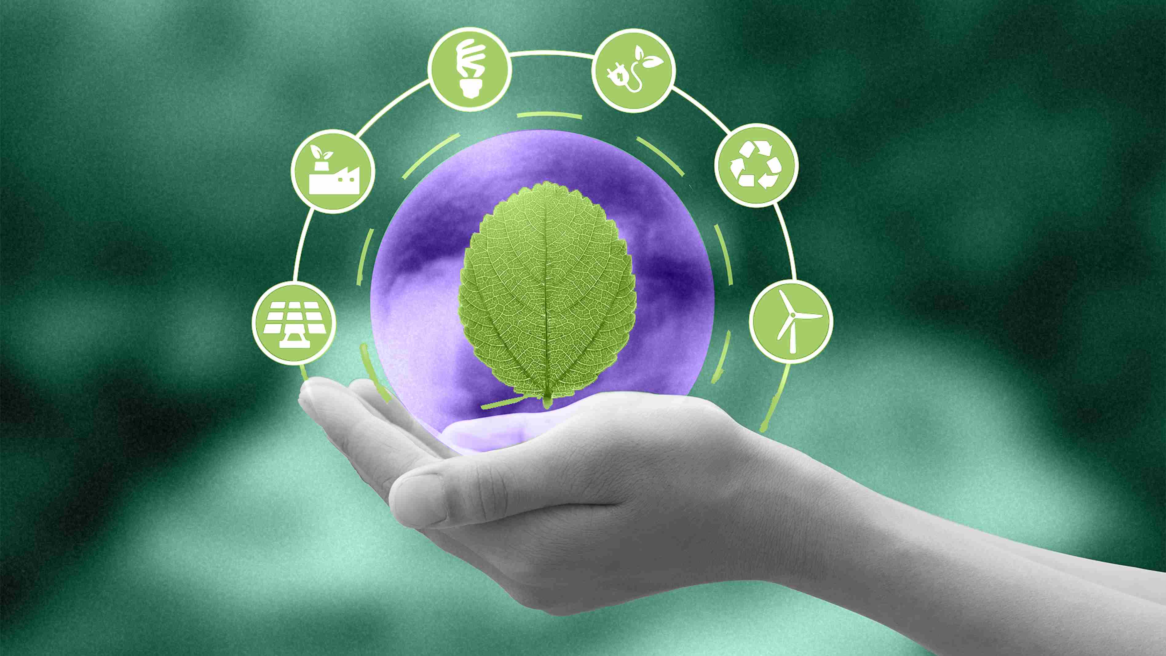 Disrupting conventional wisdom about eco-conscious innovation