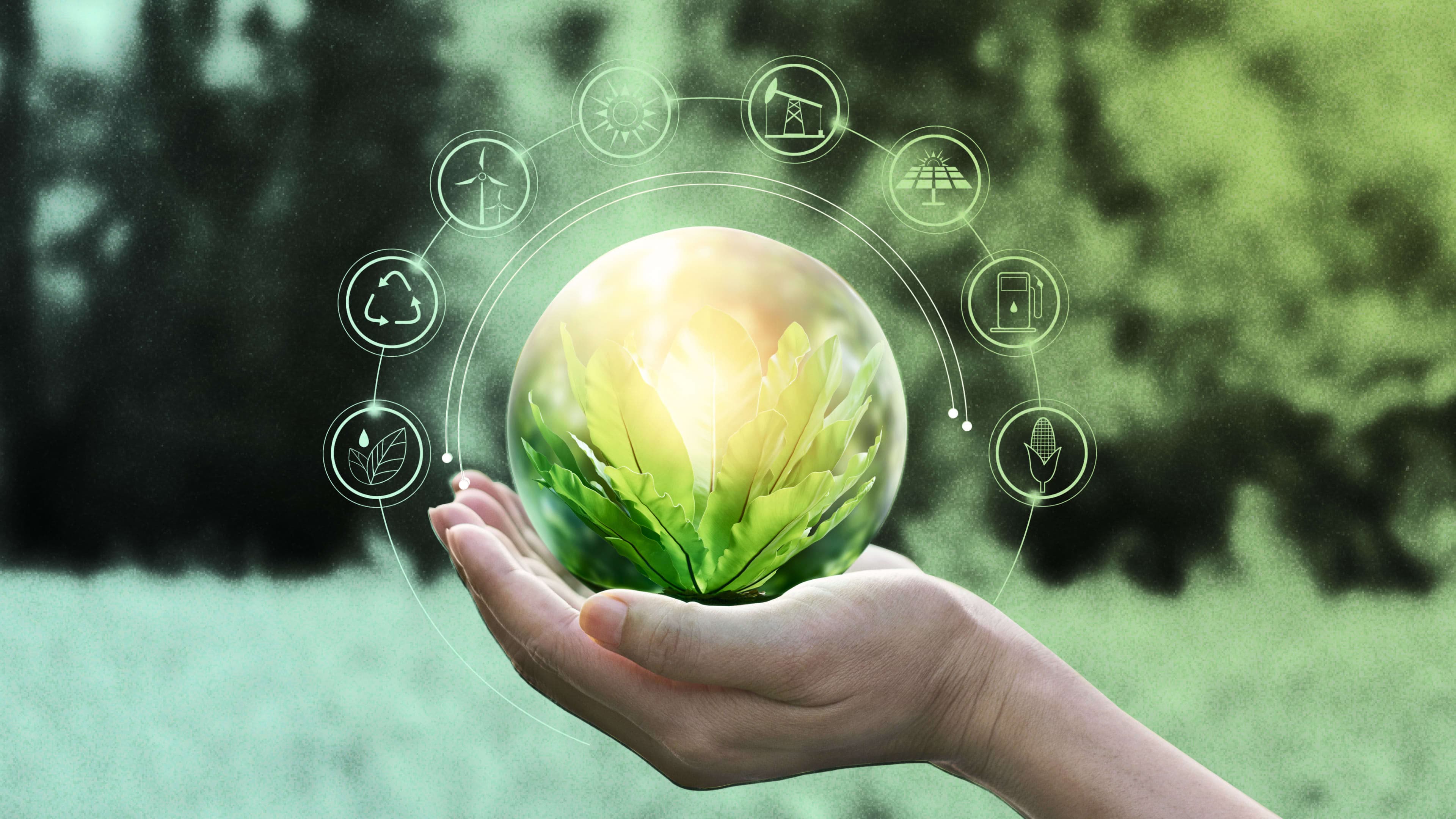 The circular economy: How marketing teams can help broaden its adoption