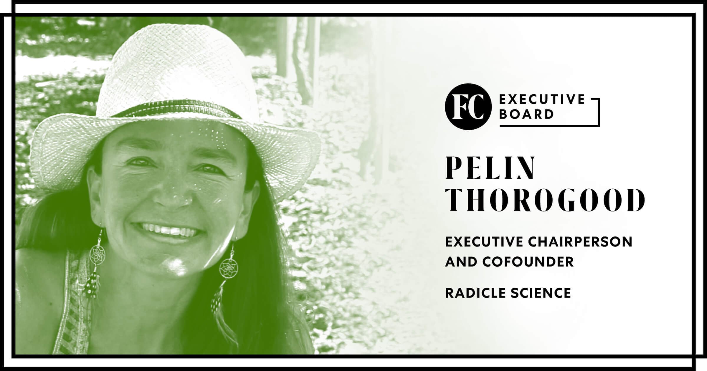 Rebels with a cause: When a corporate mission inspires groundbreaking results