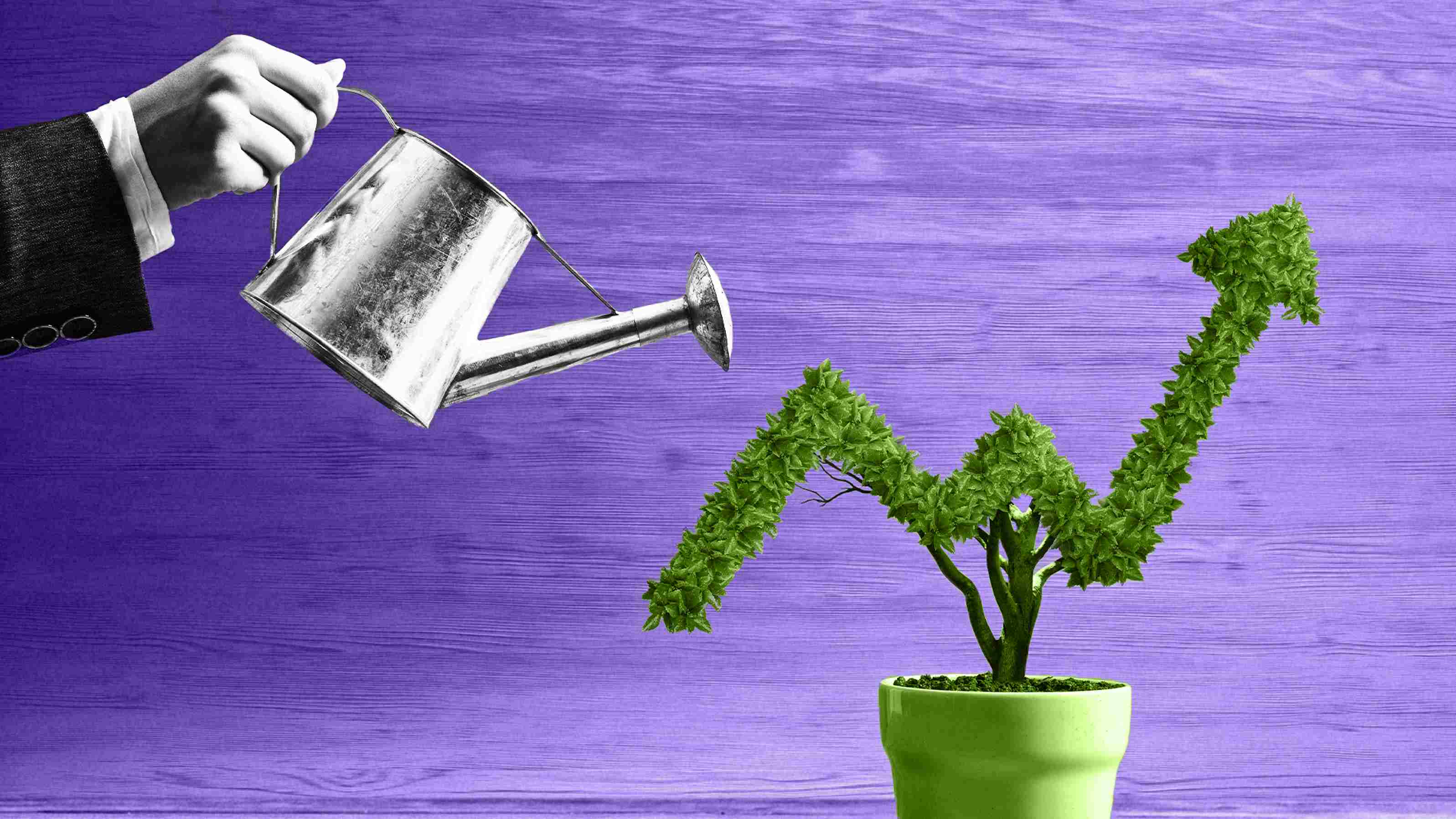 Why business leaders should prioritize organic growth strategies