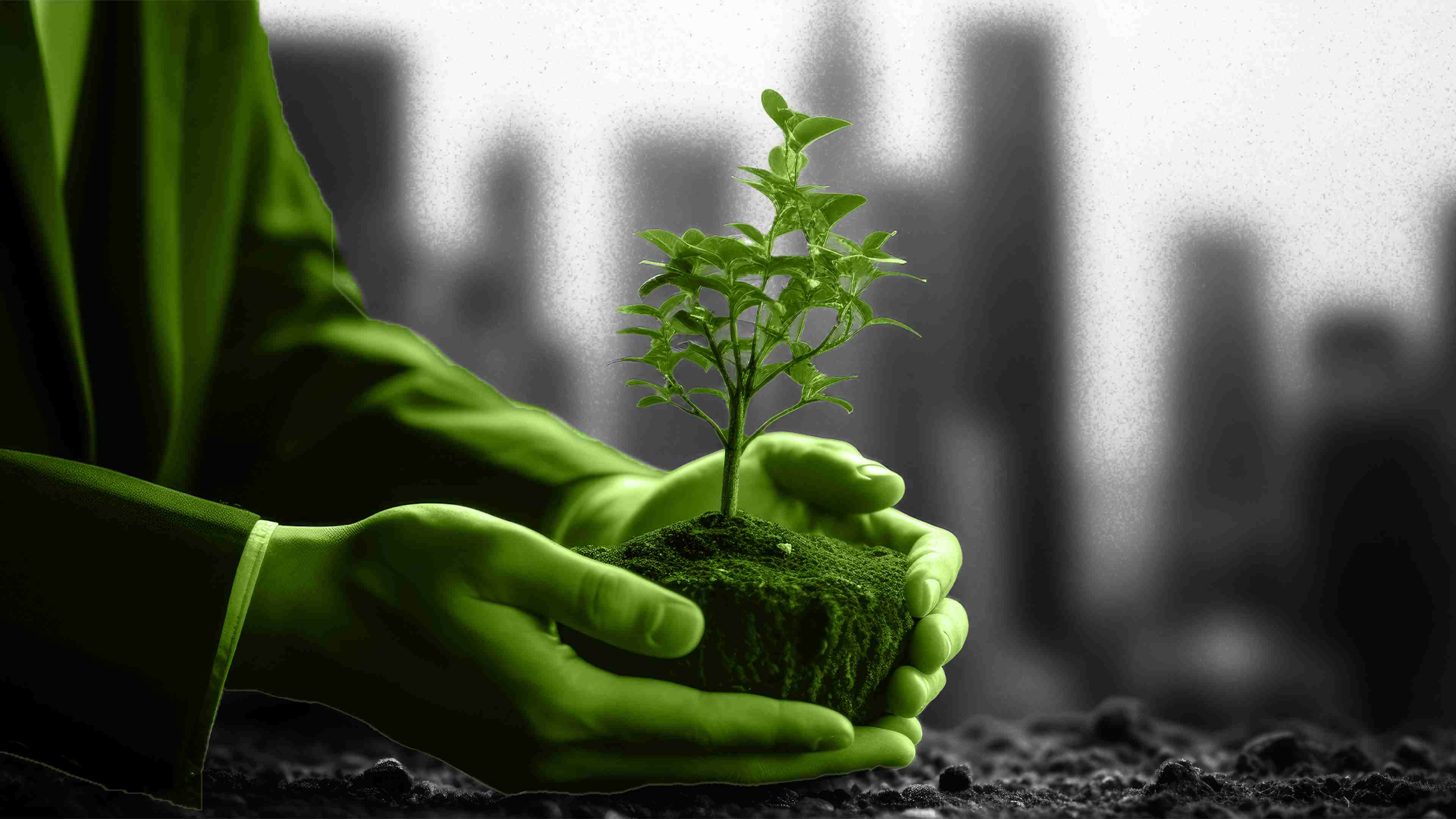 Businesses and the climate crisis: The imperative to act