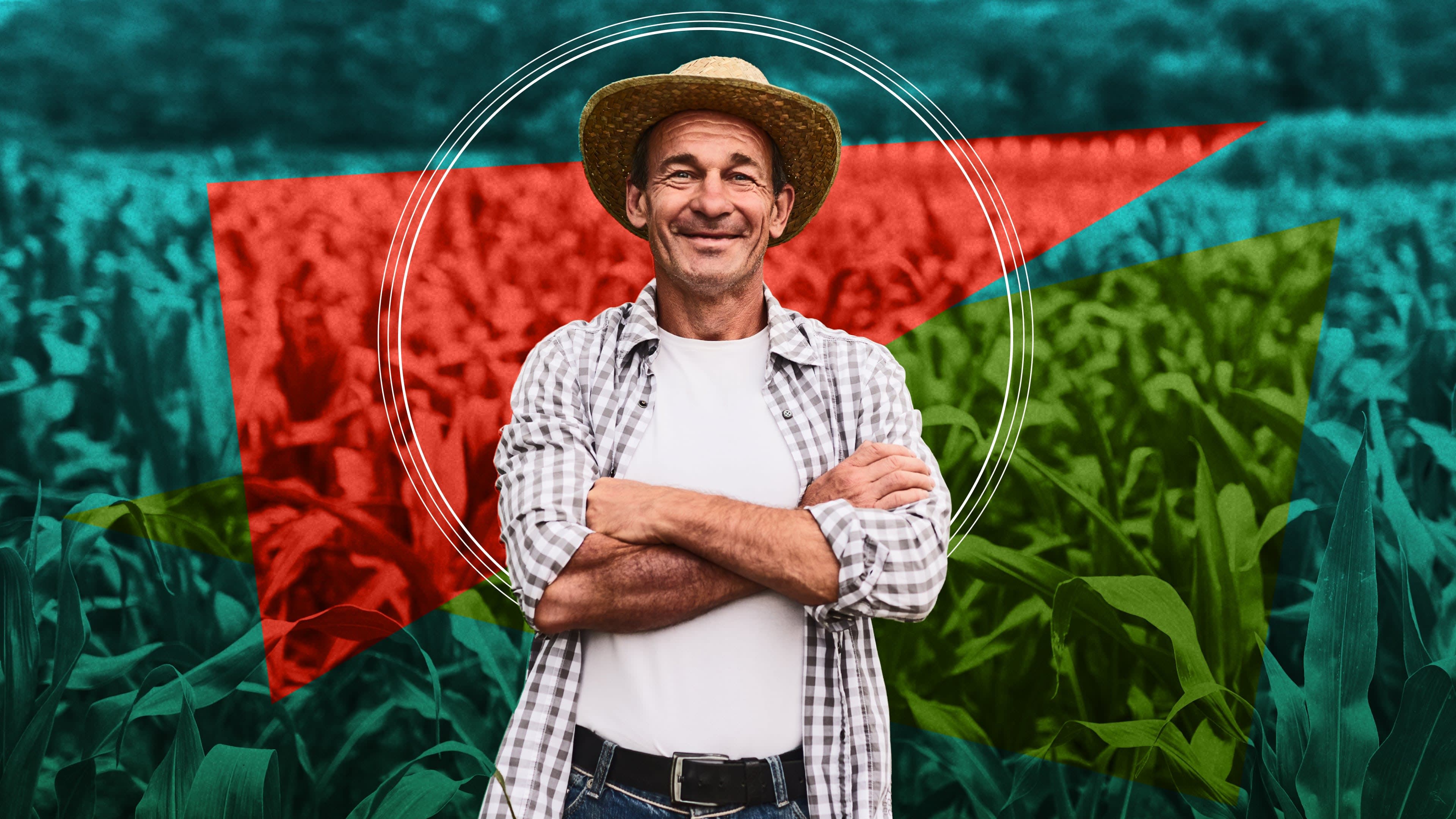 Scaling for success: 10 strategies for impact and innovation in agriculture and beyond