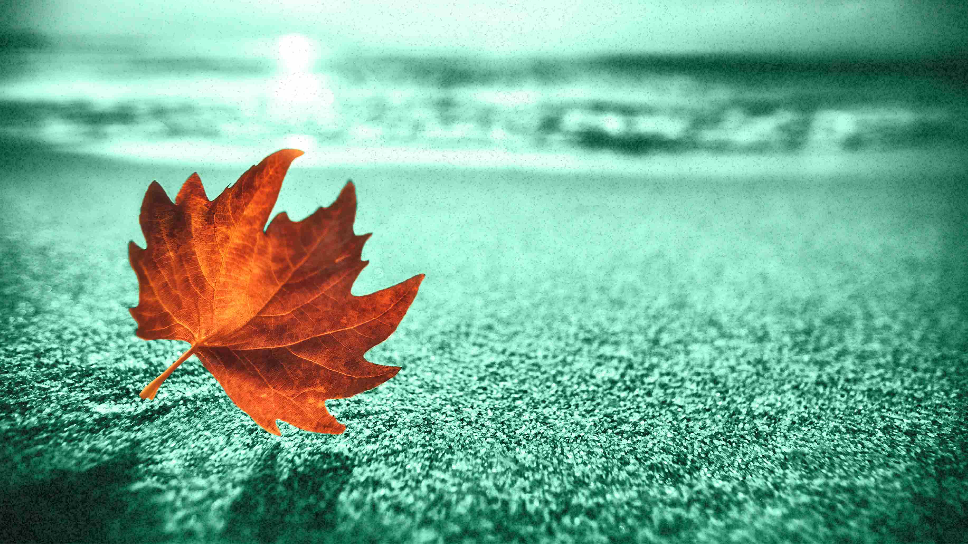 Timing matters: The pitfalls of premature marketing