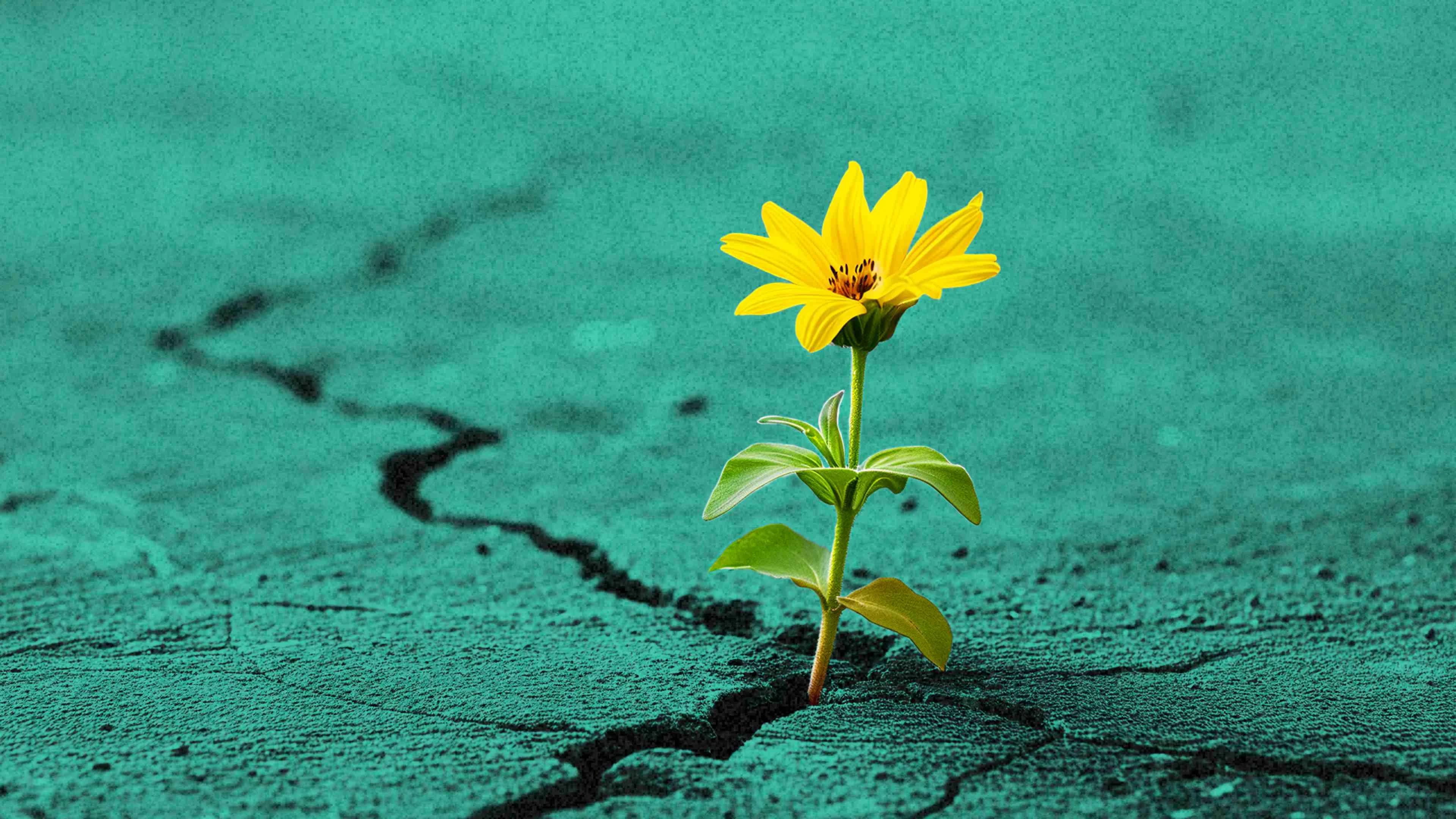Strategies for improving your organization’s resiliency