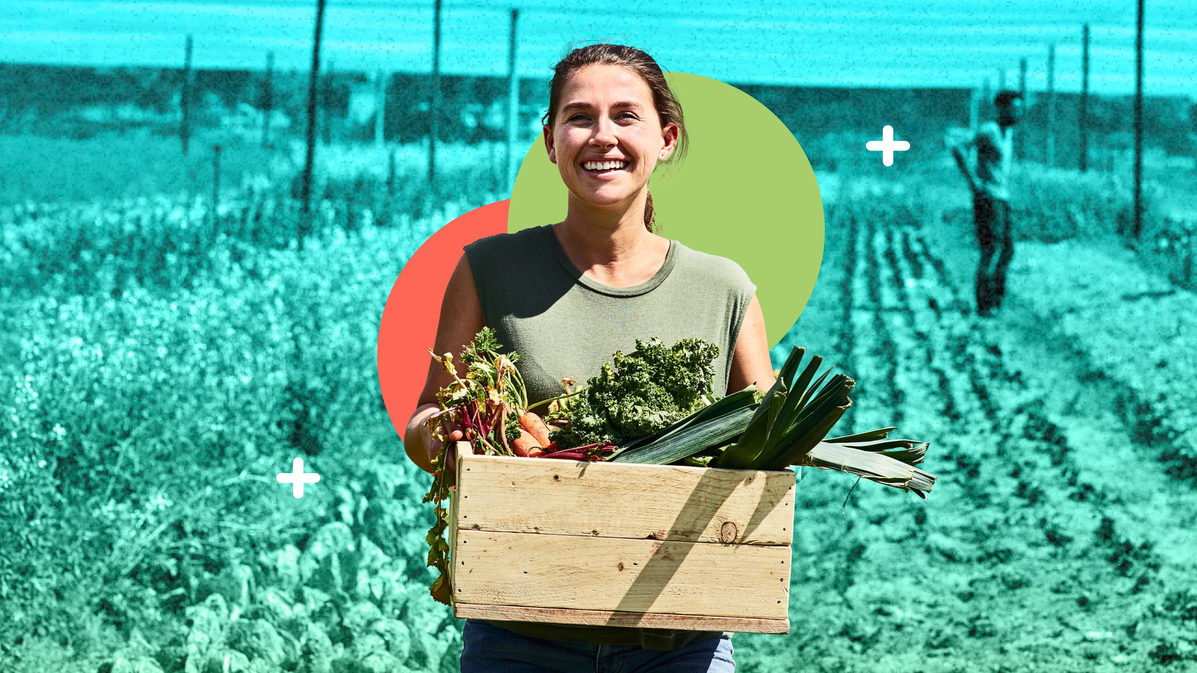 Revolutionizing agriculture with nanotechnology: A game-changer for crop production