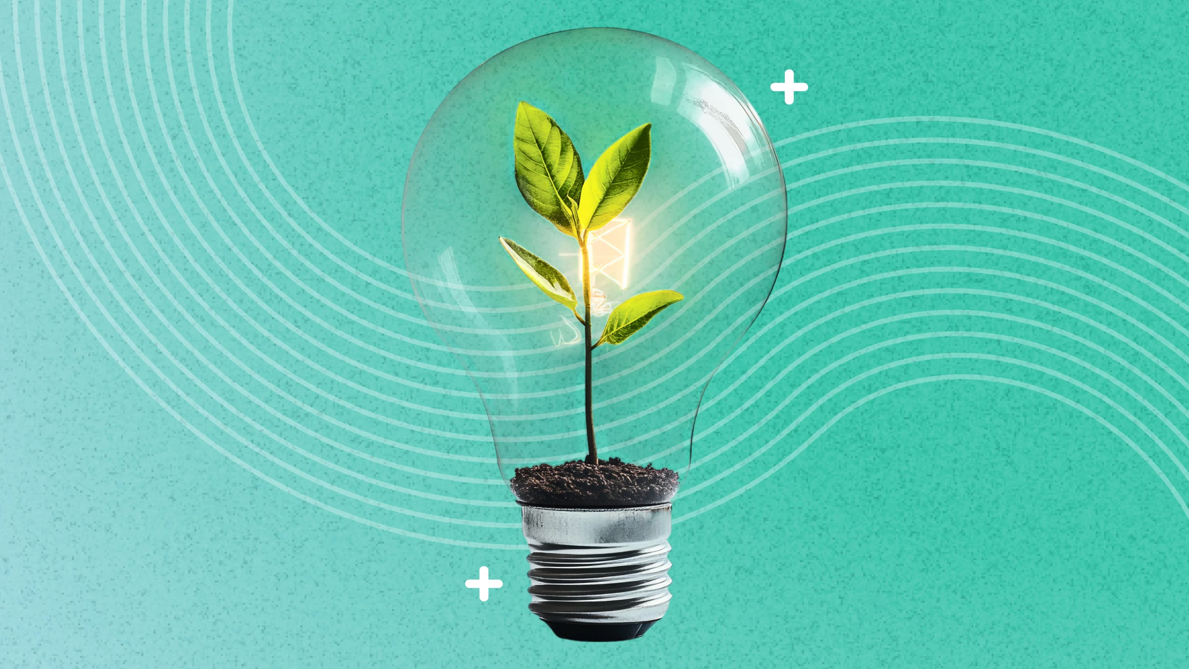 Unlocking the potential of renewable energy for a sustainable future