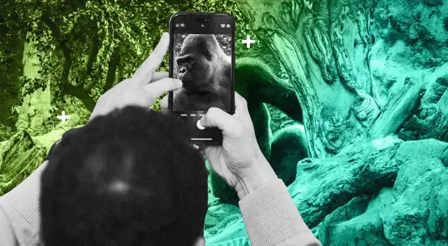 What are we really gaining from technology?