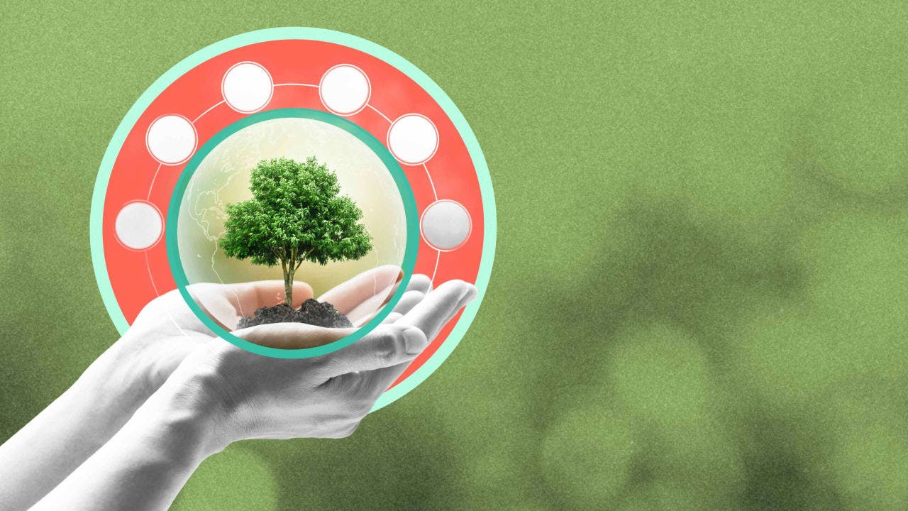 Sustainability in ad tech: There’s never been a better time than now to take action